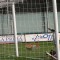 Foggia tennistico, Ischia annichilito