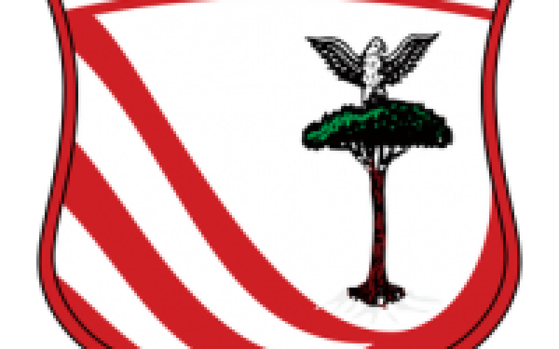 Carpi