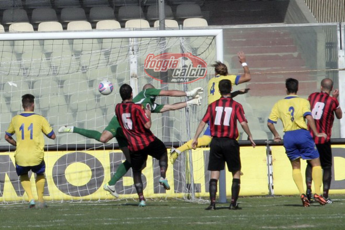 Stagione 2013/2014 Foggia calcio-Ischia