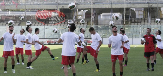 Borsino: si rivede D’Allocco, ai box Bencivenga, Maza e D’Angelo