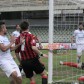 Stagione 2013/2014 Foggia Calcio-Aversa