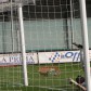 Stagione 2014/2015 Foggia calcio-Ischia IsolaVerde