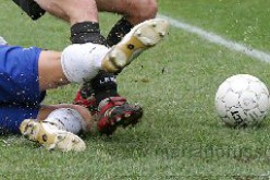 Lotito prepara la fronda: raccolta firme per le dimissioni di Gravina