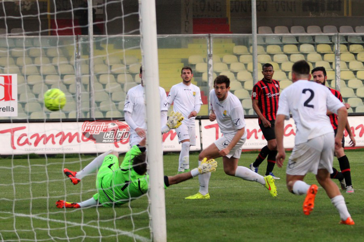 Stagione 2015/2016 Foggia Calcio-Ischia Isolaverde