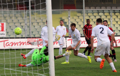 Stagione 2015/2016 Foggia Calcio-Ischia Isolaverde