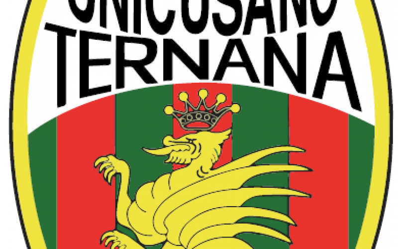 Ternana, ipotesi di una seconda asta