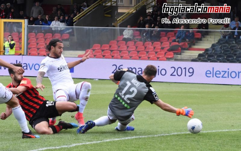 La fotocronaca di Foggia-Salernitana