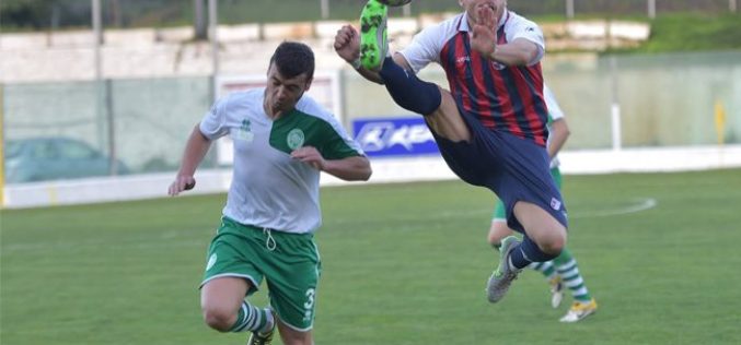 Il riepilogo di mercato e rosa Calcio Foggia 1920