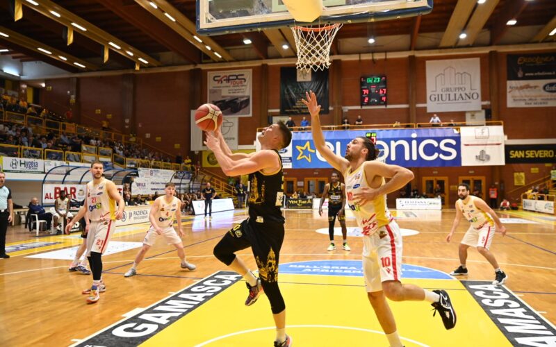 L’Allianz Pazienza non tradisce le aspettative! Vittoria convincente dei Neri su Ravenna