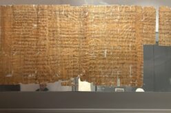 Lettera aperta alla proprietà del Foggia Calcio 1920