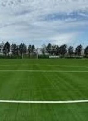 Nessuno lo ufficializza, ma tutti lo sanno. Il Foggia si allenerà da domani al campo Croci Nord