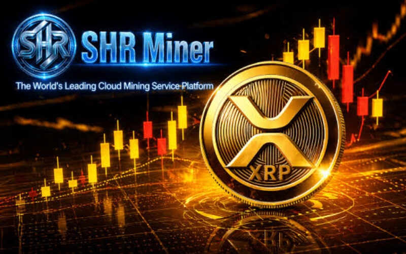 Le 5 migliori piattaforme di cloud mining per il 2026: una guida per principianti per guadagnare 2.700 dollari al giorno